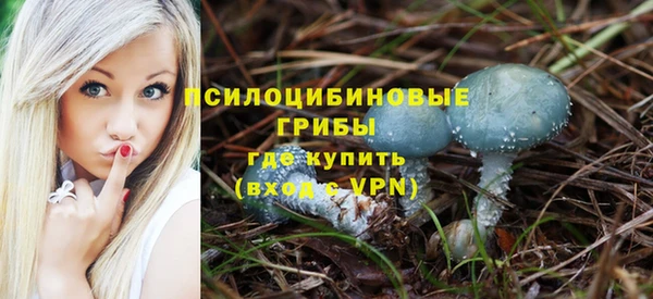 МДМА Бородино