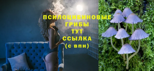 МДМА Бородино