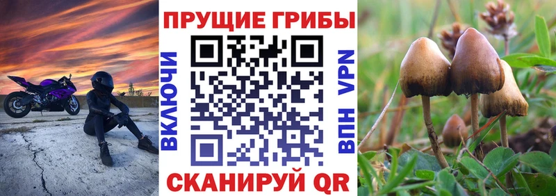 Галлюциногенные грибы прущие грибы  это клад  Бугуруслан  где купить  